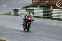 Middle Group Black Bikes